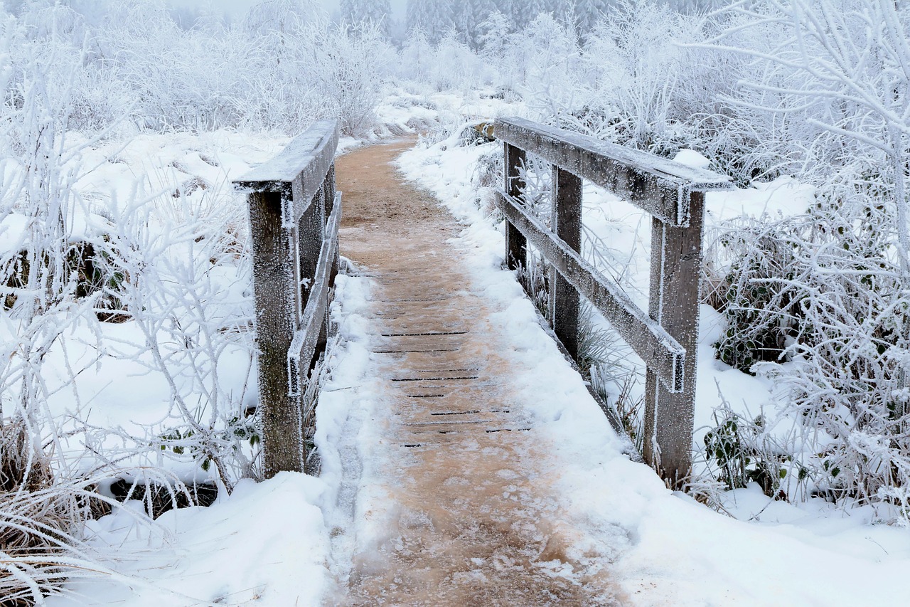 A Snowy Bridge Snow